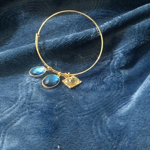 Jewelry/Bracelet
